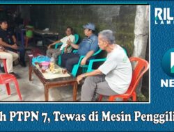 Buruh PTPN 7, Tewas di Mesin Penggilingan