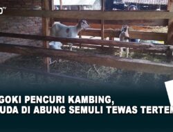 Pergoki Pencuri Kambing, Pemuda di Abung Semuli Tewas Tertembak