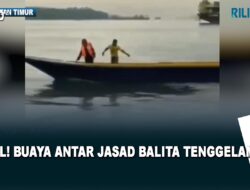 Viral ! Buaya Antar Jasad Balita Tenggelam