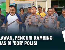Melawan, Pencuri Kambing Tewas Di ‘Dor’ Polisi