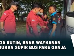 Razia Rutin, BNNK Waykanan Temukan Supir Bus Pake Ganja