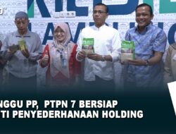 Tunggu PP,  PTPN 7 Bersiap Ikuti Penyederhanaan Holding