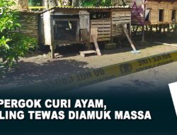Ketangkap Basah Curi 9 Ekor Ayam, Pelaku Diamuk Massa Hingga Tak Bernyawa | RILISID TV