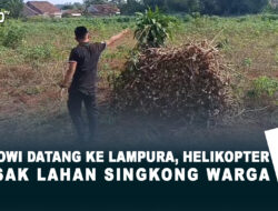 Jokowi Datang ke Lampura, Helikopter Rusak Lahan Singkong Warga
