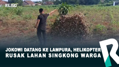 Jokowi Datang ke Lampura, Helikopter Rusak Lahan Singkong Warga