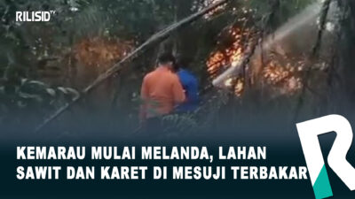Kemarau Mulai Melanda, Lahan Sawit dan Karet di Mesuji Terbakar
