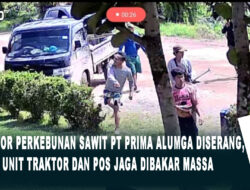 Kantor Perkebunan Sawit PT Prima Alumga Diserang, Satu Unit Traktor dan Pos Jaga Dibakar Massa
