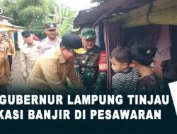Pj Gubernur Lampung Tinjau Lokasi Banjir di Pesawaran