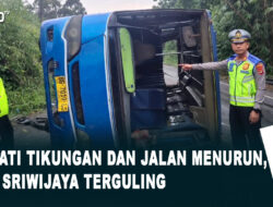 Lewati Tikungan dan Jalan Menurun, Bus Sriwijaya Terguling