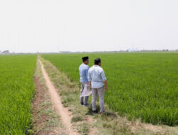 Menteri ATR/BPN Pastikan Lahan Industri di Indramayu Tidak Masuk Kawasan Sawah Dilindungi