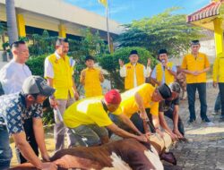 Golkar Lampung Potong 54 Ekor Hewan Kurban